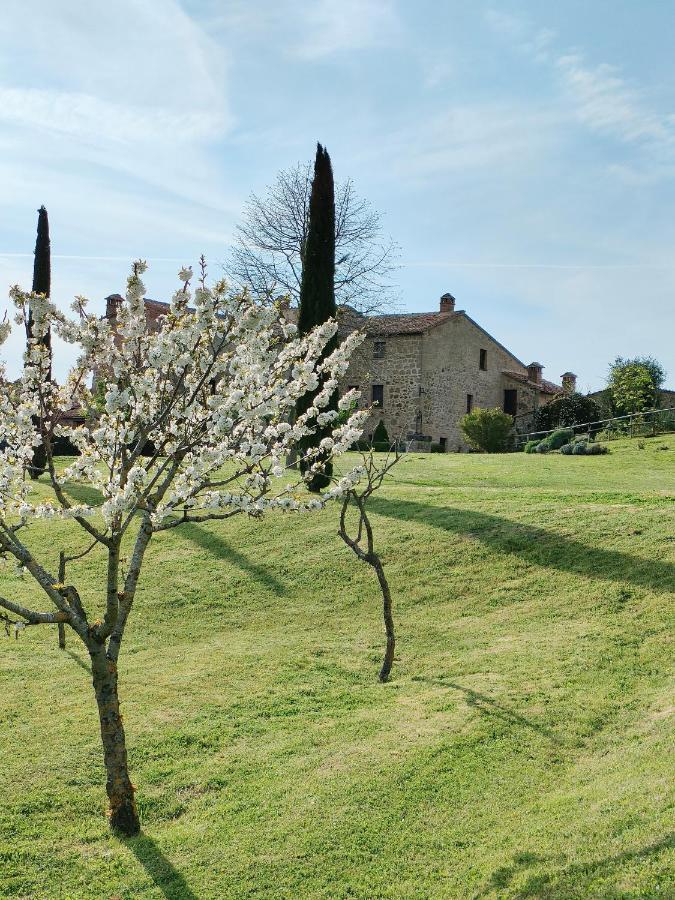 Casa Mae Apartment Sarteano Bagian luar foto