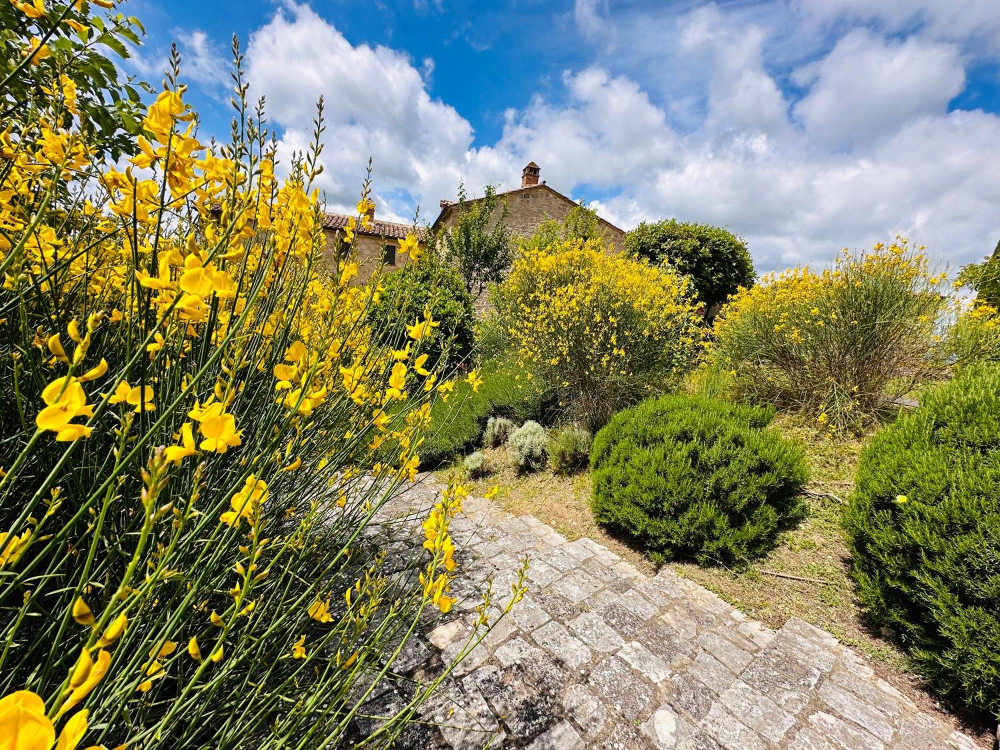 Casa Mae Apartment Sarteano Bagian luar foto